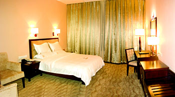 佛山喜伯年酒店套房 套房