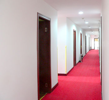 扬州永成宾馆长廊 长廊