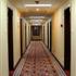 青岛汇园宾馆(东部分店)走廊 走廊