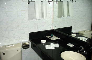 延安圣通大酒店卫生间 卫生间