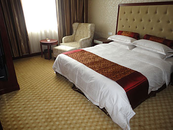 阜阳(安徽)阜阳晶宫大酒店(太和县)豪华套房 豪华套房