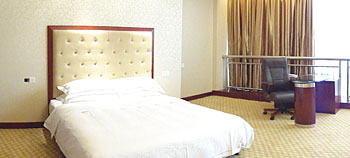 阜阳(安徽)阜阳晶宫大酒店(太和县)豪华大床房 豪华大床房