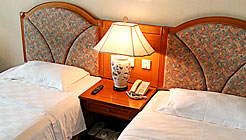 成都紫微酒店豪华标间+_vt 豪华标间+_vt