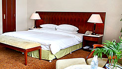 成都家园国际酒店豪华套间-1+_vt 豪华套间-1+_vt