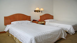 沈阳金杯汽车大厦普通标准间 普通标准间