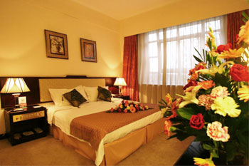 洛阳拙耕园宾馆豪华大床房 豪华大床房