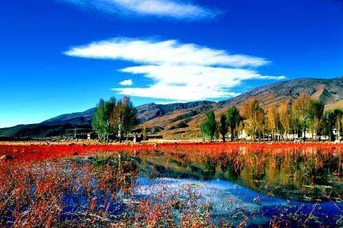 徒步香格里拉 探秘野性天堂