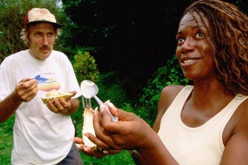 不可错过的食补之旅 测试你的胆量